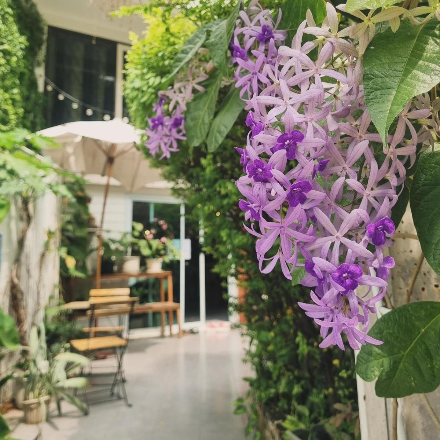Home16 Sukhumvit16 Banguecoque Exterior foto